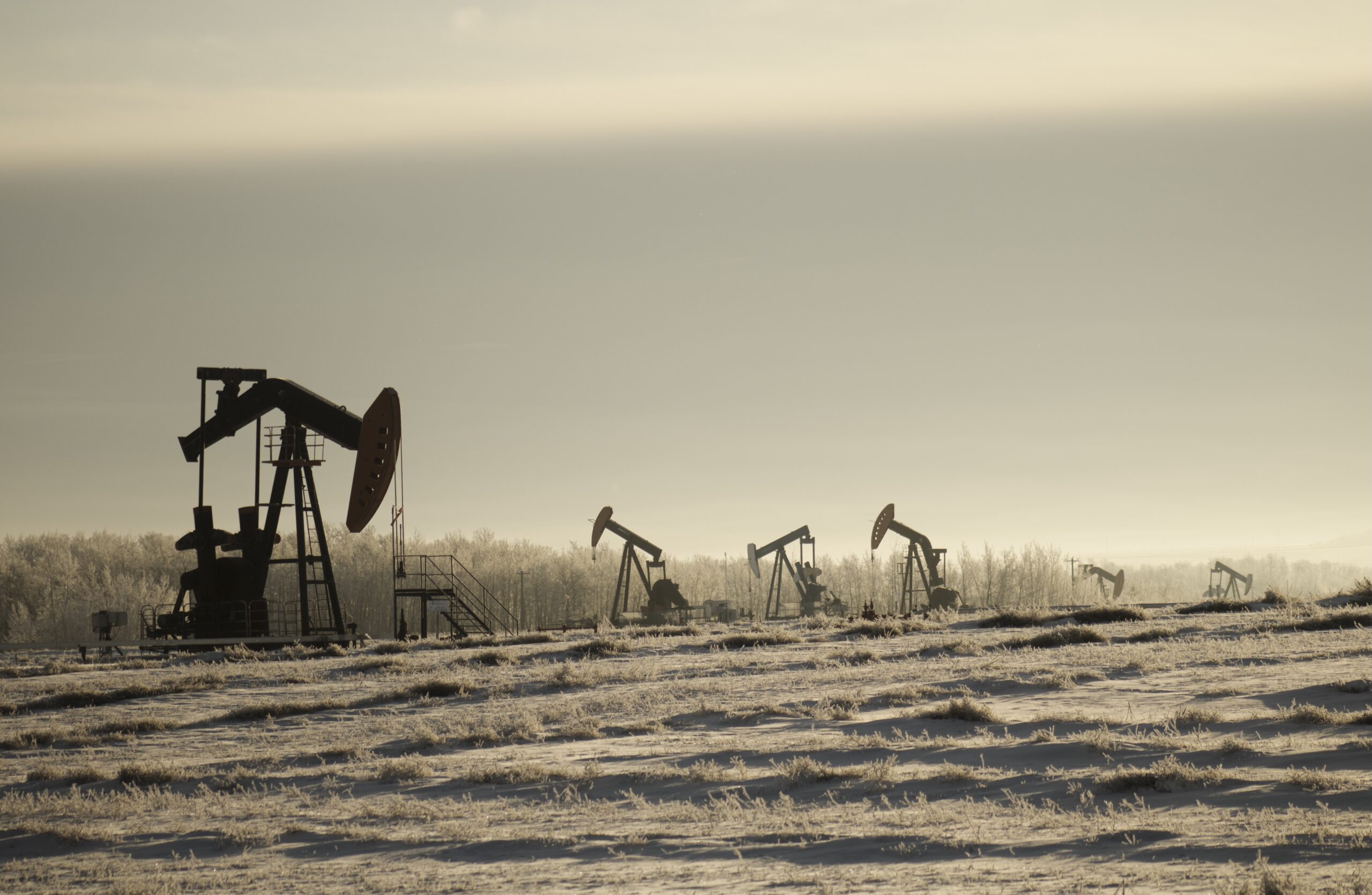 A field with oil pump jacks surrounded by greenery under a cloudy sky and sunlight